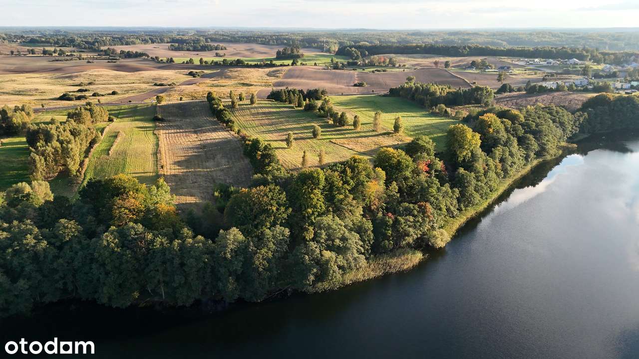4ha z 500m linią brzegową zatoka jezioro Drawsko Czaplinek Siemczyno - Pełny obrazek: 3/20