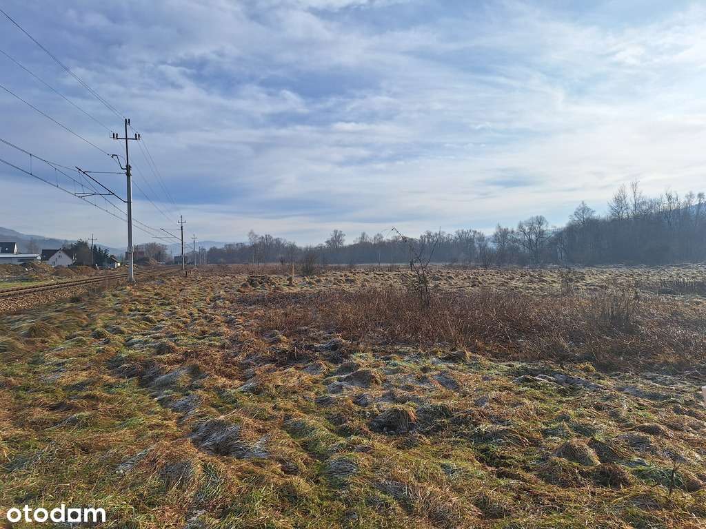 NOWOŚĆ!!! Na sprzedaż trzy działki rolne! TANIO!!! - Pełny obrazek: 5/9