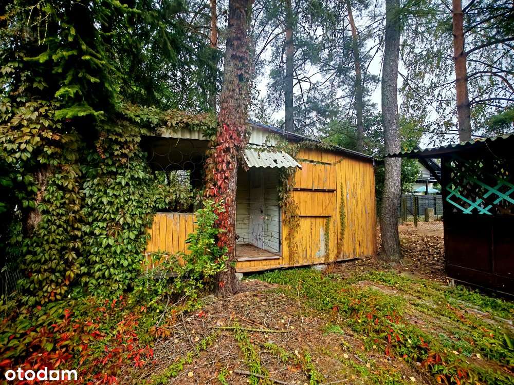 Działka 150m2/5 minut do jeziora/Okuninka - Pełny obrazek: 5/10