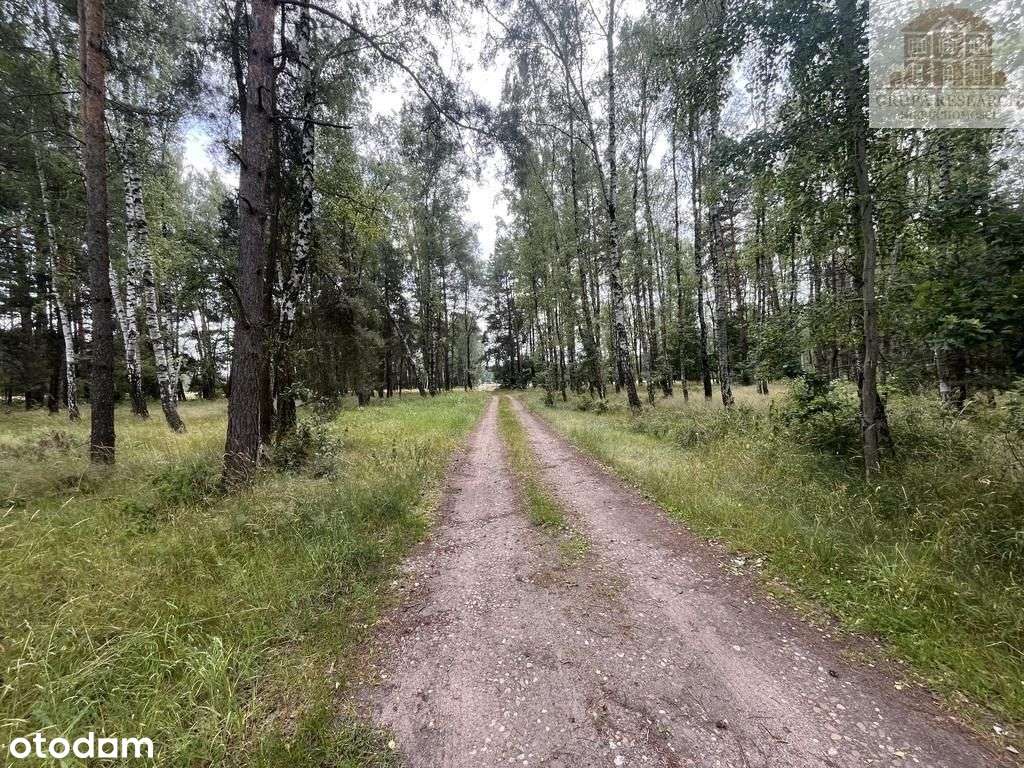 Cisza, las i przestrzeń – działka w Grabach - Pełny obrazek: 4/14