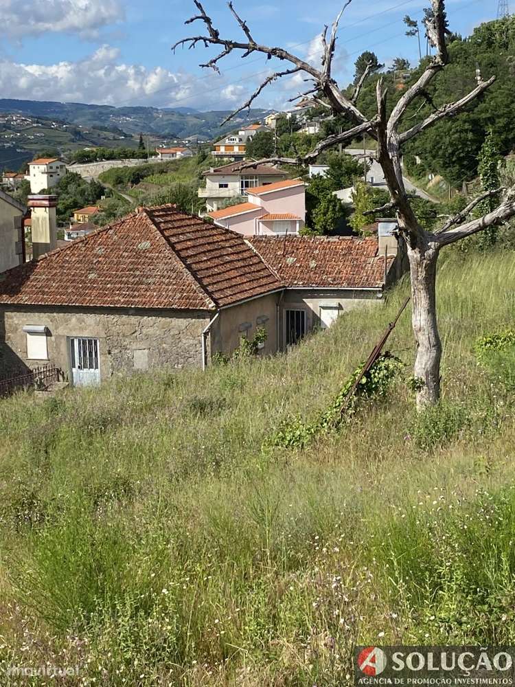 Moradia c/terreno agrícola-13