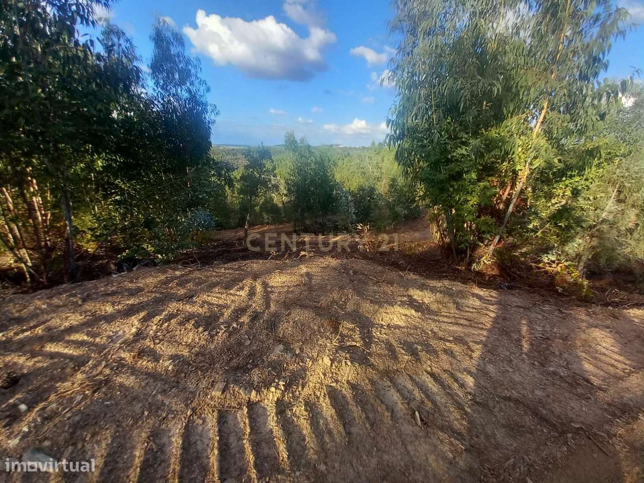 Terreno em Benquerenças, Castelo Branco - 2800m²-6