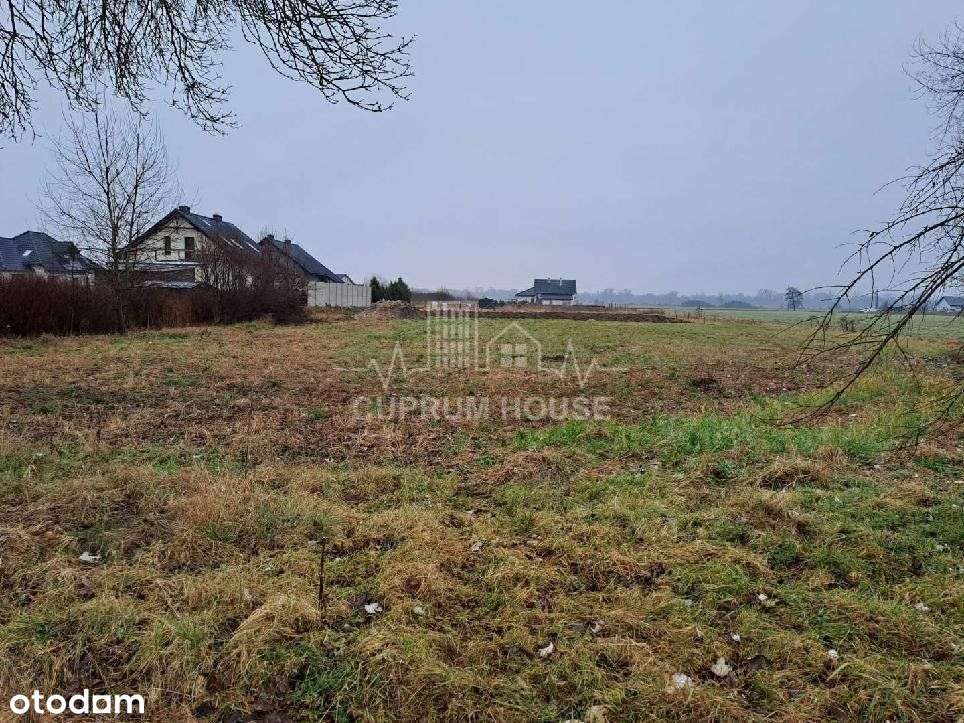 Działka budowlana w Serbach - Pełny obrazek: 5/5