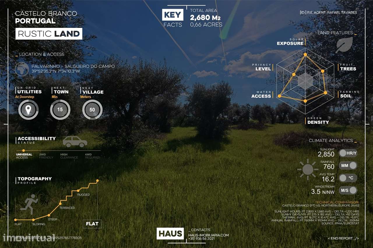 Terreno 2.680m² | Poço e Olival | Palvarinho, Castelo Branco - Grande imagem: 3/20