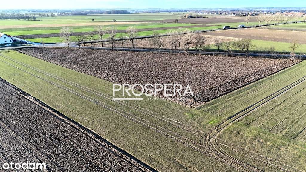 Działka mieszkaniowo-usługowa/ Przy S8! - Pełny obrazek: 5/7