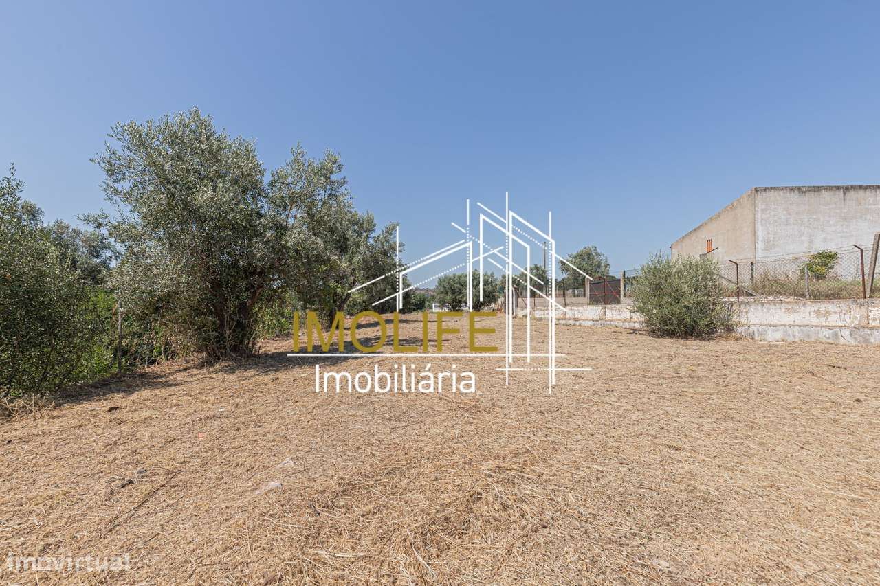 Armazém para venda em Cabeção - Grande imagem: 2/57