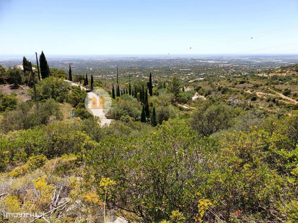Terreno com vista mar - Grande imagem: 1/6
