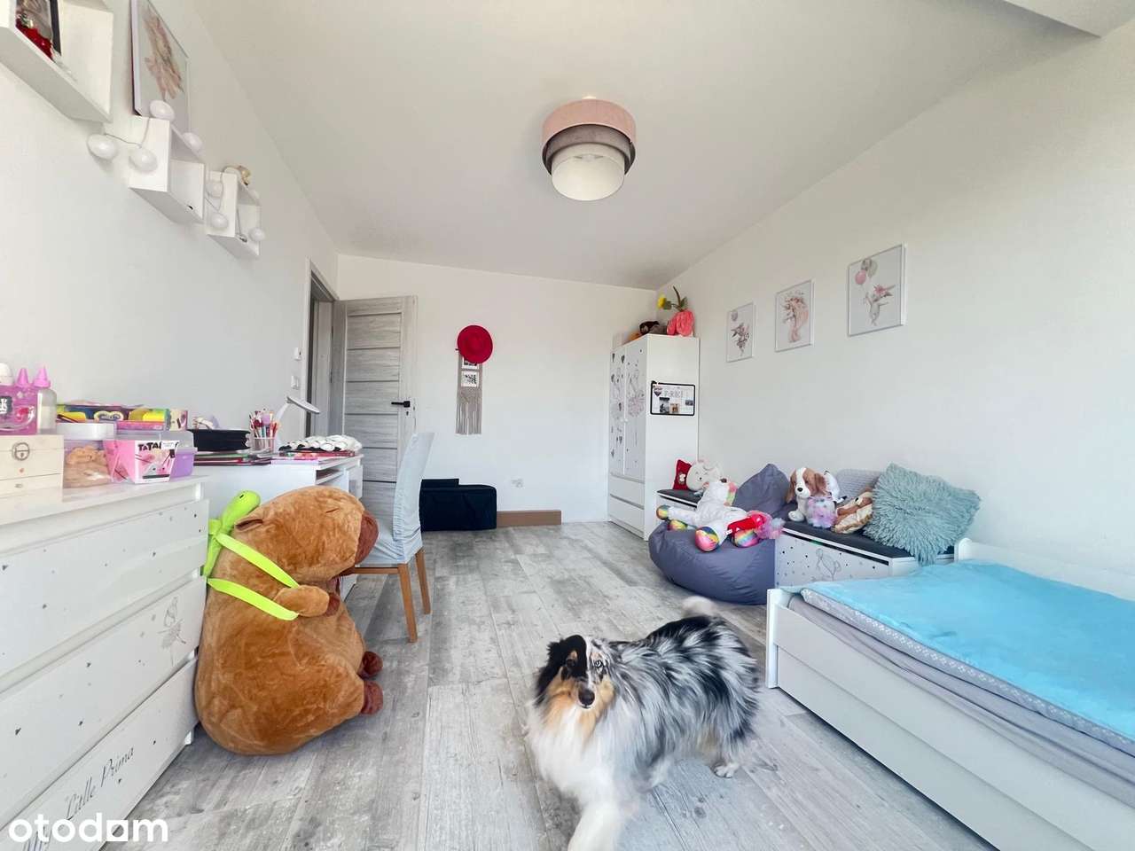 Dom w Opolu - zakup bez zezwolenia MSWiA-3
