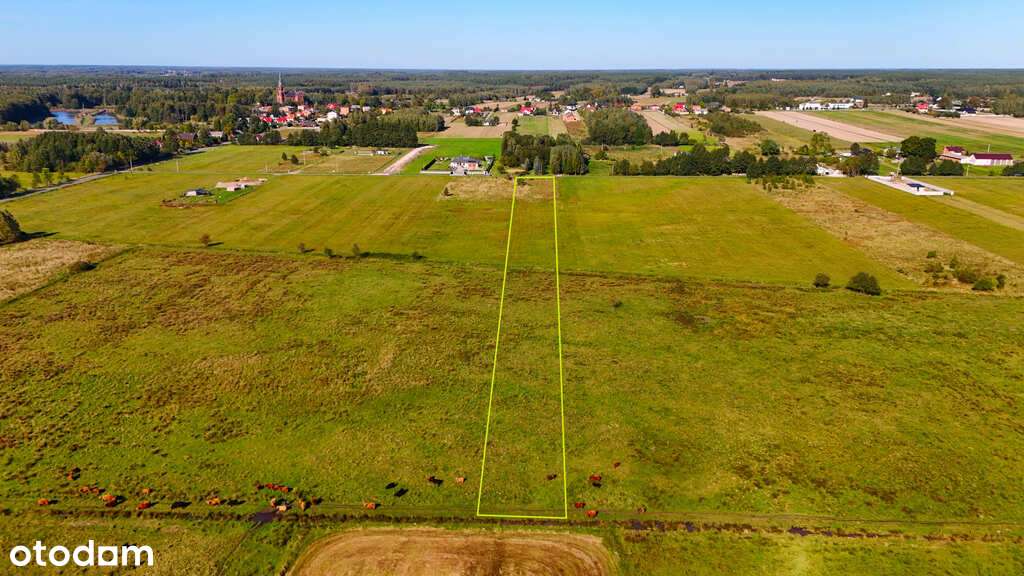 Na sprzedaż- działka budowlana 4020 metrów Lesisko - Pełny obrazek: 5/12