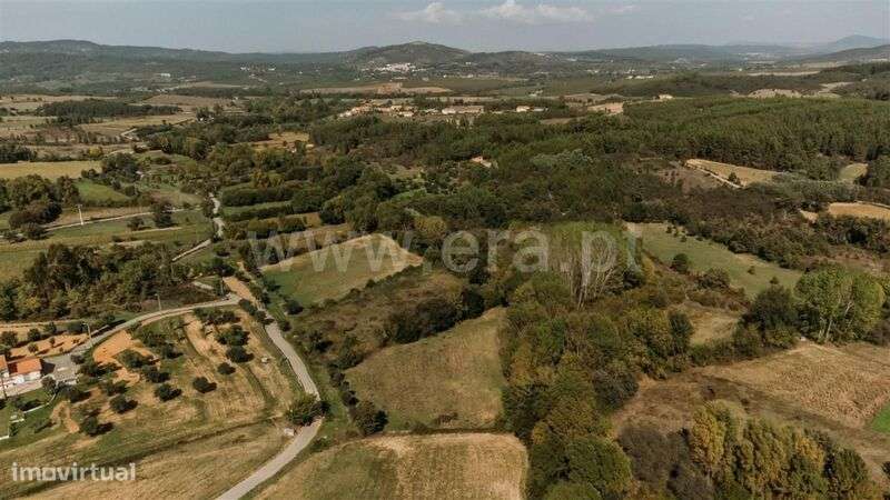 Terreno / Fundão, Enxames - Grande imagem: 3/7