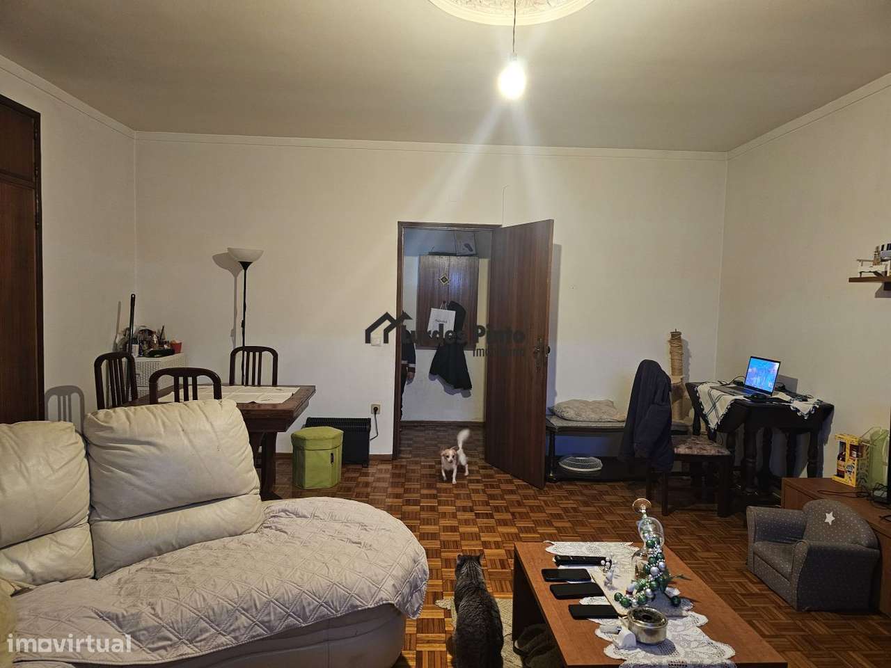 T2 em Castelo Branco - Grande imagem: 2/16