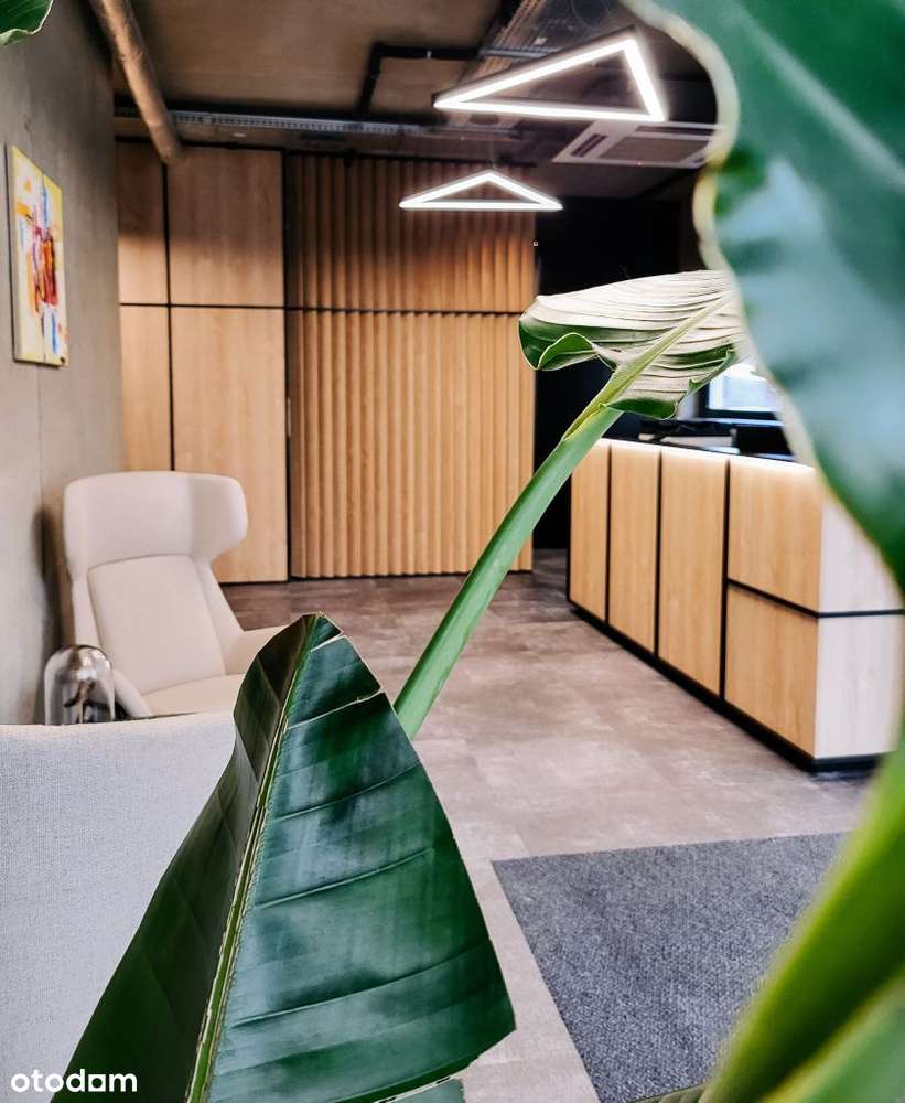 Budynek Biurowo Usługowy, stały dochód! - Pełny obrazek: 4/13