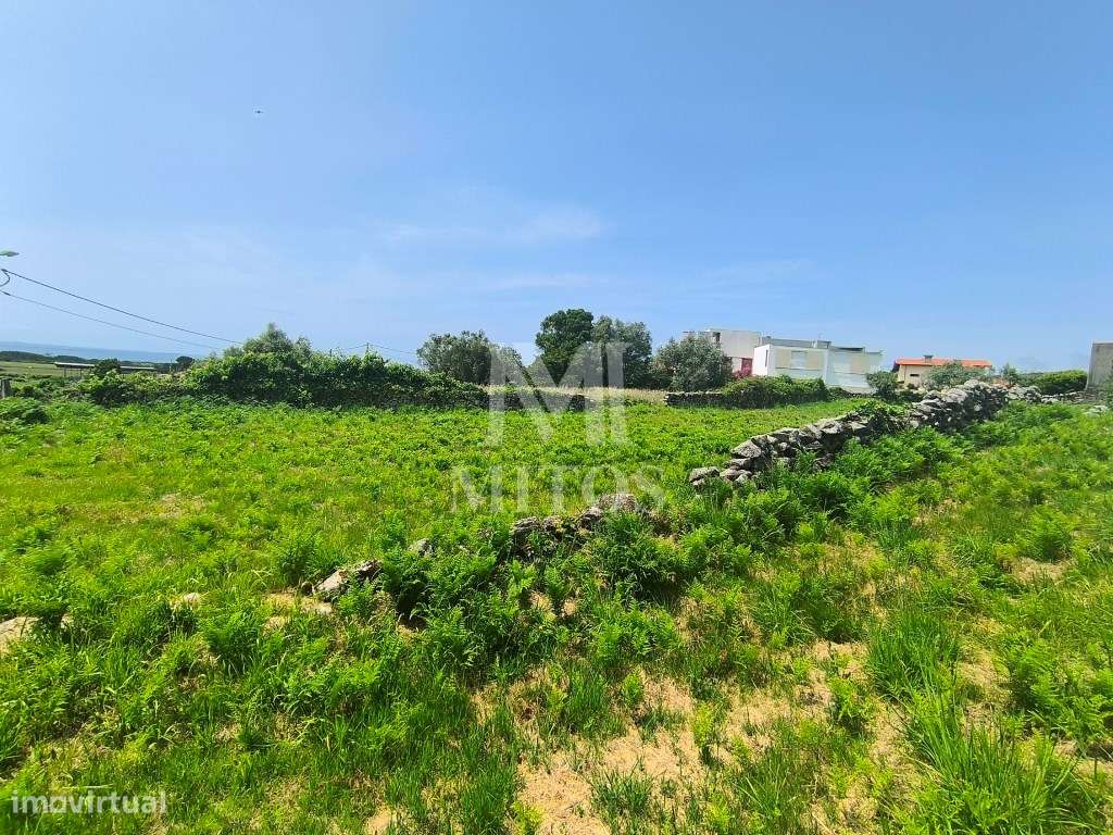 Venda de 2 terrenos para construção - Afife - Grande imagem: 3/15