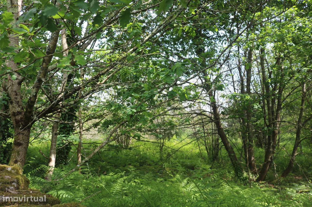 Moradia isolada com jardim e terraço em Amares-19
