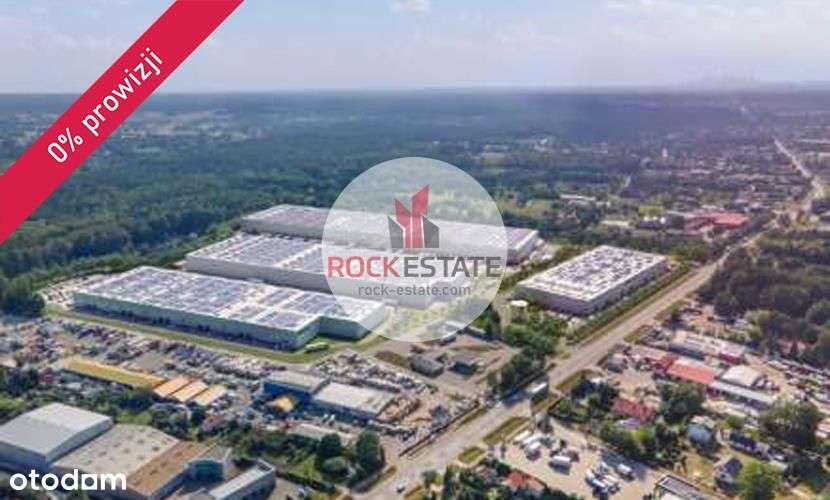 Magazyn 5000 m2 w Nowym Koniku - od zaraz - Pełny obrazek: 4/4