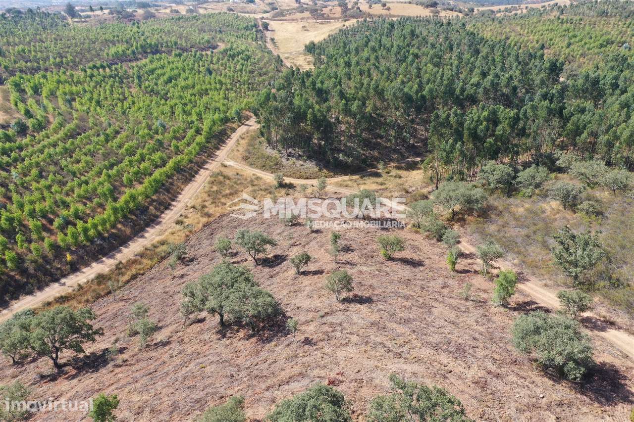 Terreno Rústico  Venda em Ourique,Ourique - Grande imagem: 2/11