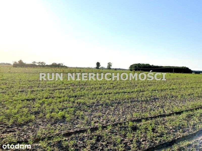 Atrakcyjne działki budowlane we Wschowie - Pełny obrazek: 5/9