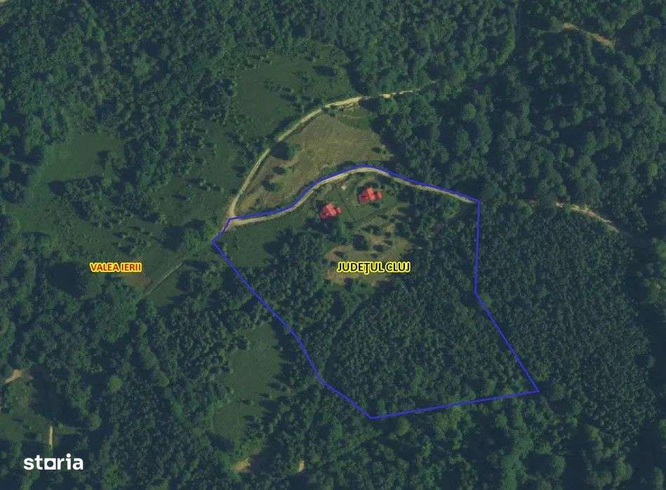 Teren 5ha in Muntii Apuseni, 2 Cabane, 3 parcele, padure, munte, in Va - Imagine principală: 2/9