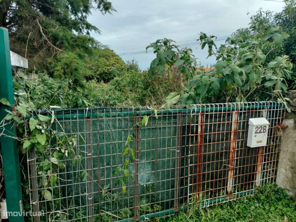 Invista no paraíso: terreno em Porto Martins, Ilha Terceira - Grande imagem: 3/15