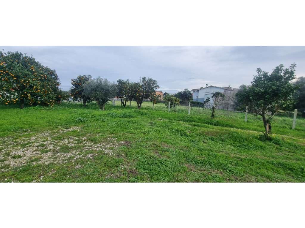 Terreno para construção, bem localizado, zona tranquila e com bons ... - Grande imagem: 4/21