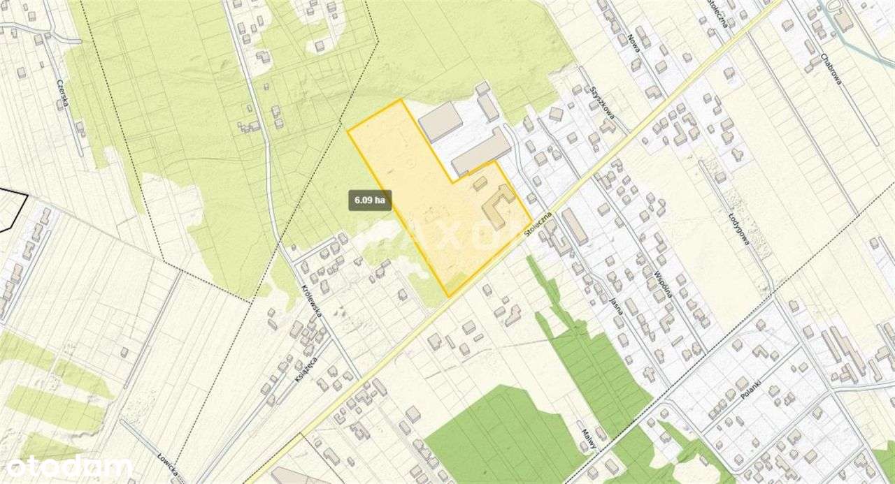 ❗❕ Józefin Grunt Usługowy 6 Ha Blisko Wezła A2 ❕❗ - Pełny obrazek: 5/9