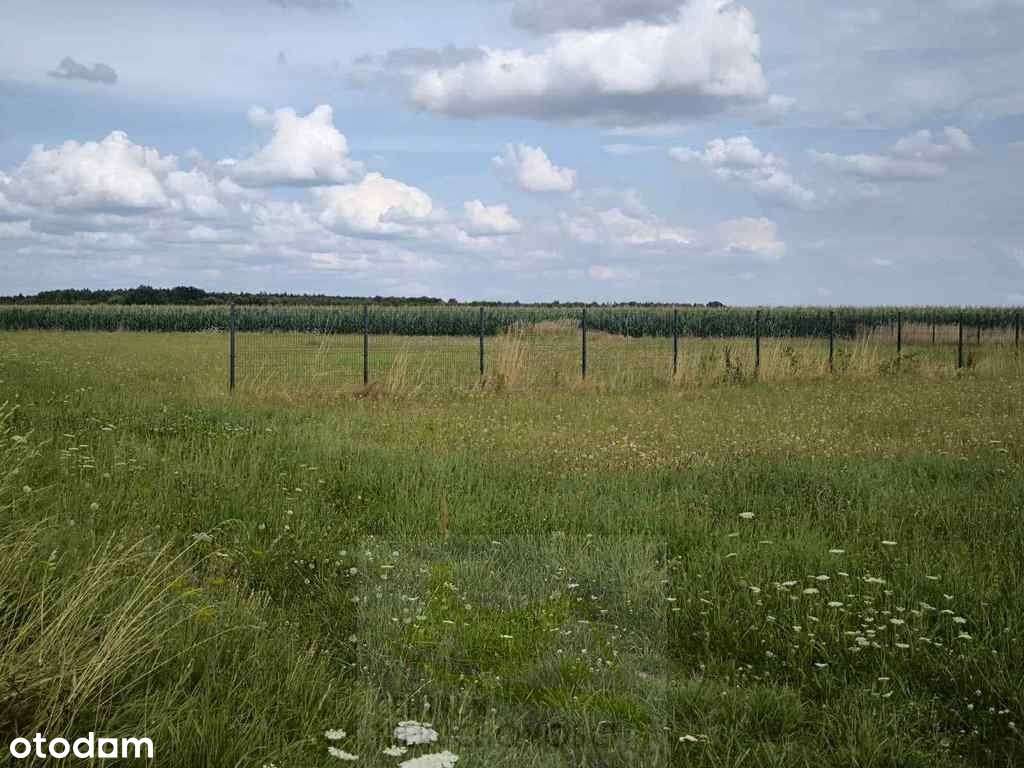 Na sprzedaż ogrodzona działka budowlana – Proszków - Pełny obrazek: 4/8