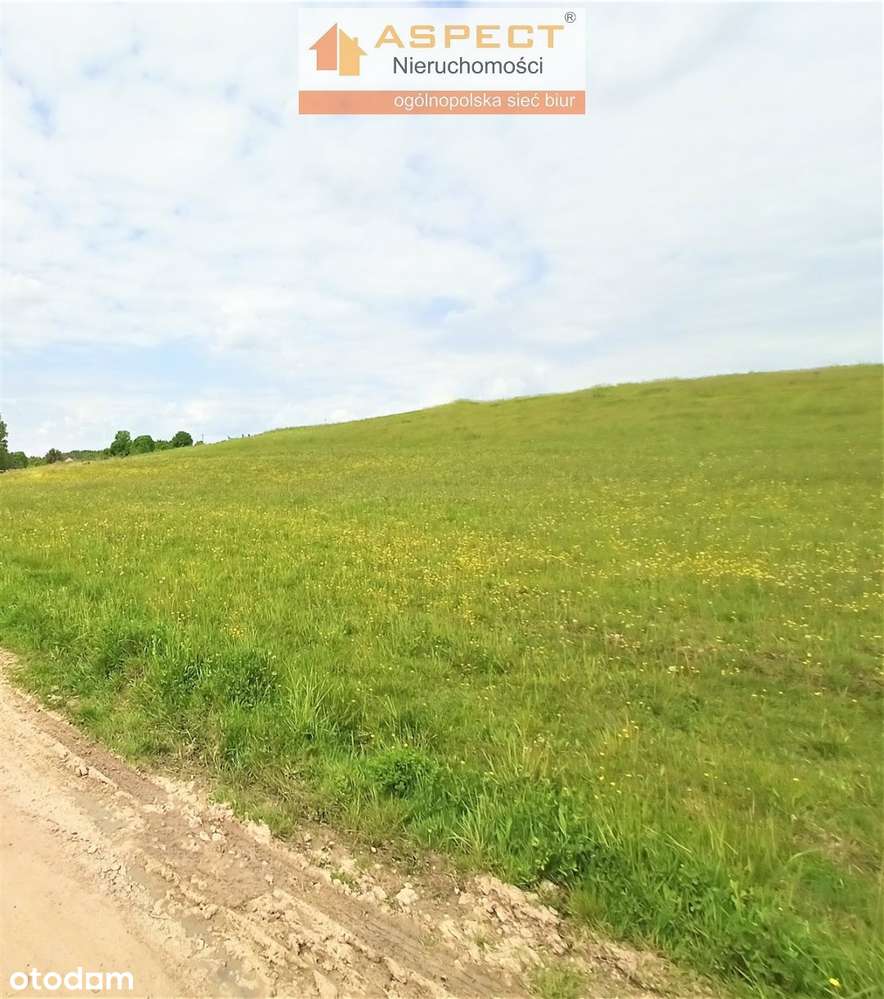 Urokliwa działka budowlana Trypucie media w drodz - Pełny obrazek: 5/6