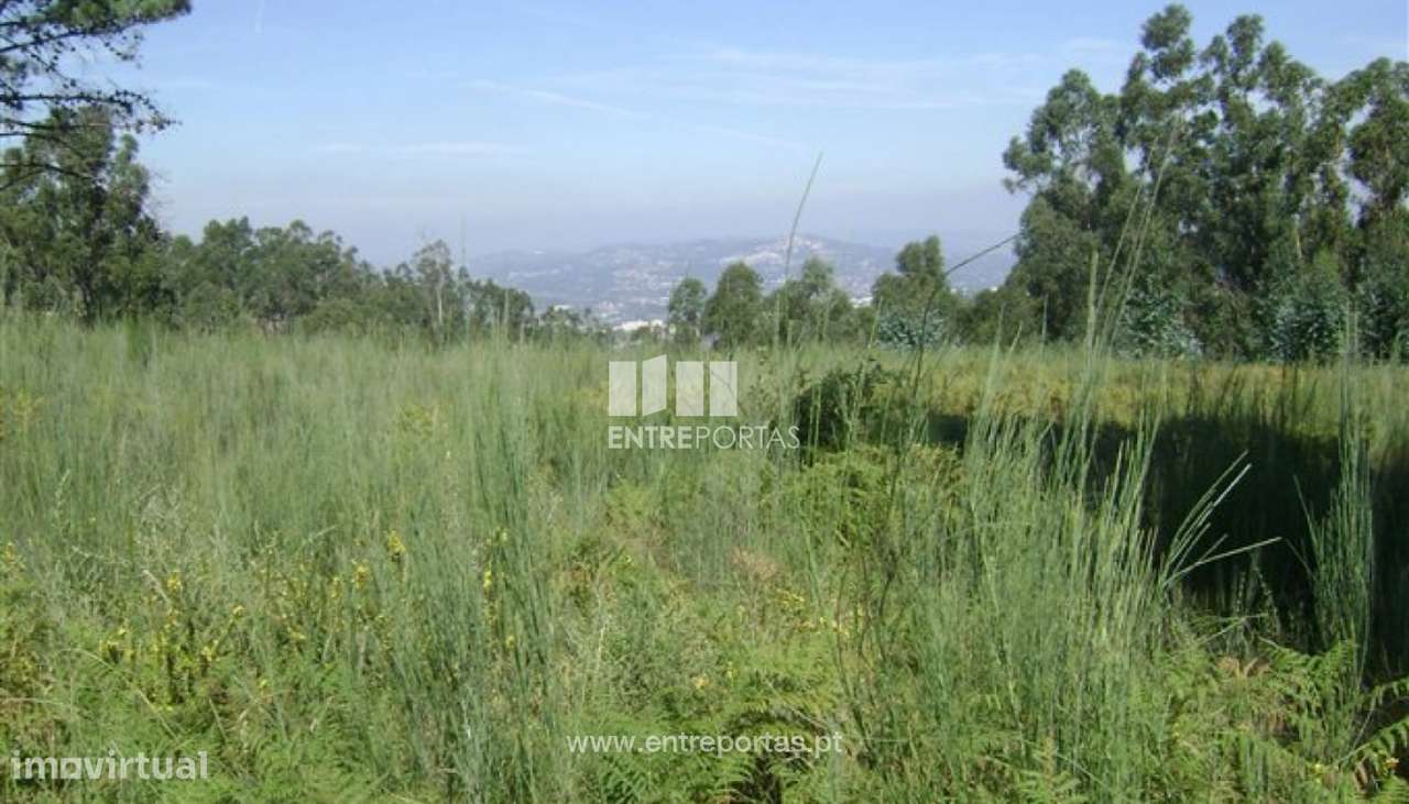 Venda Terreno, Rosém, Marco de Canaveses - Grande imagem: 5/30