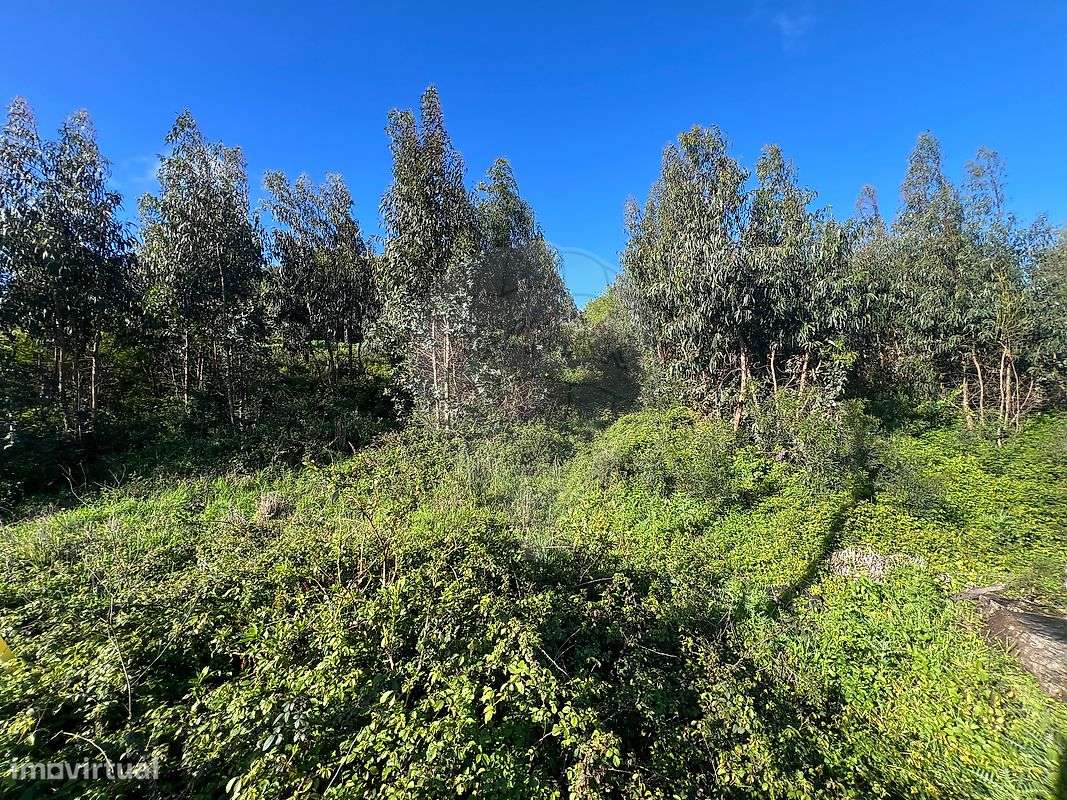 Terreno  para venda-11