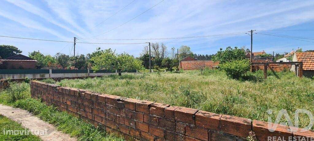 Terreno em Santo André de Vagos de 765,00 m2 - Grande imagem: 2/10