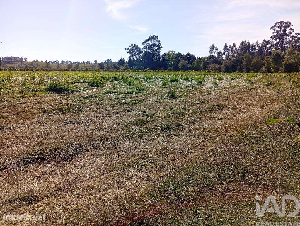 Terreno em Anais de 9845,00 m2 - Grande imagem: 5/30