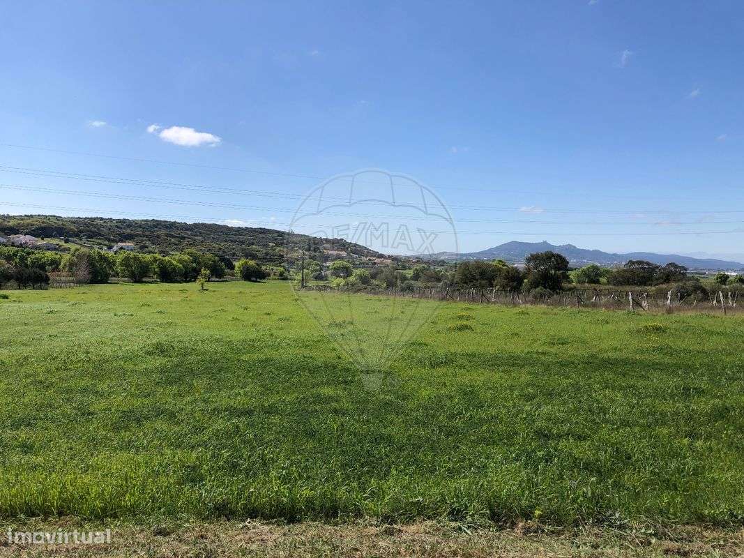 Terreno  para venda - Grande imagem: 4/6