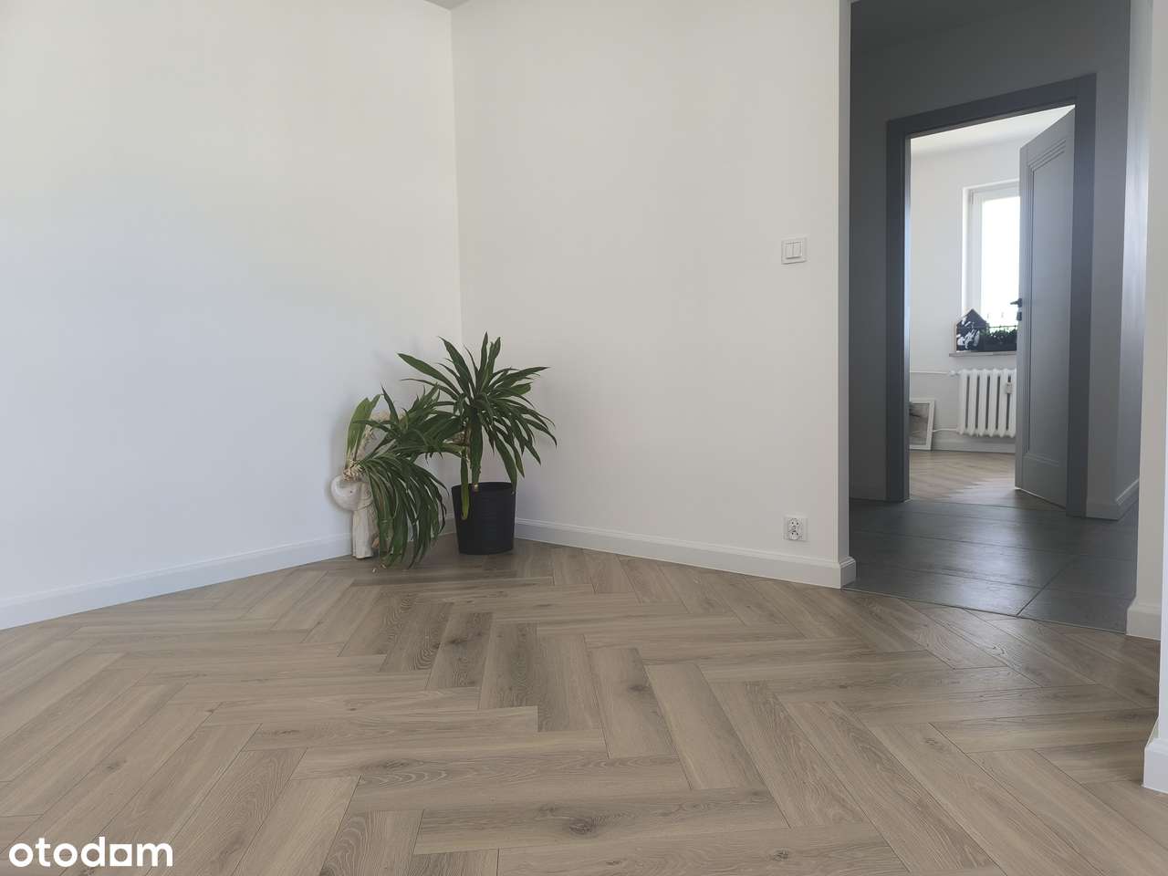 2 pokoje , osobna kuchnia, po generalnym remoncie-0