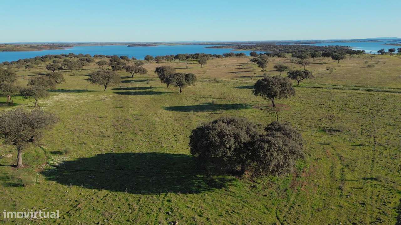 Herdade Exclusiva Junto à Barragem do Alqueva – Investimento Turístico-39