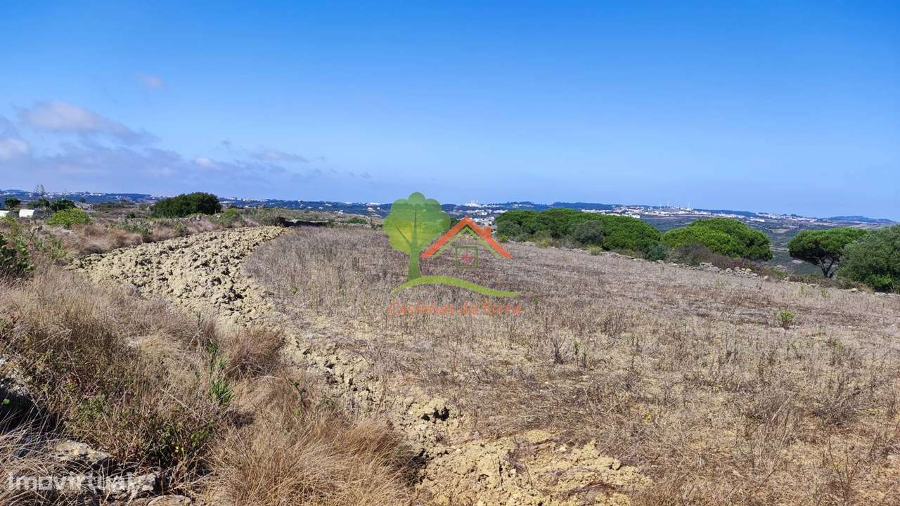 Terreno agrícola mas com vista maravilhosa - Grande imagem: 4/14