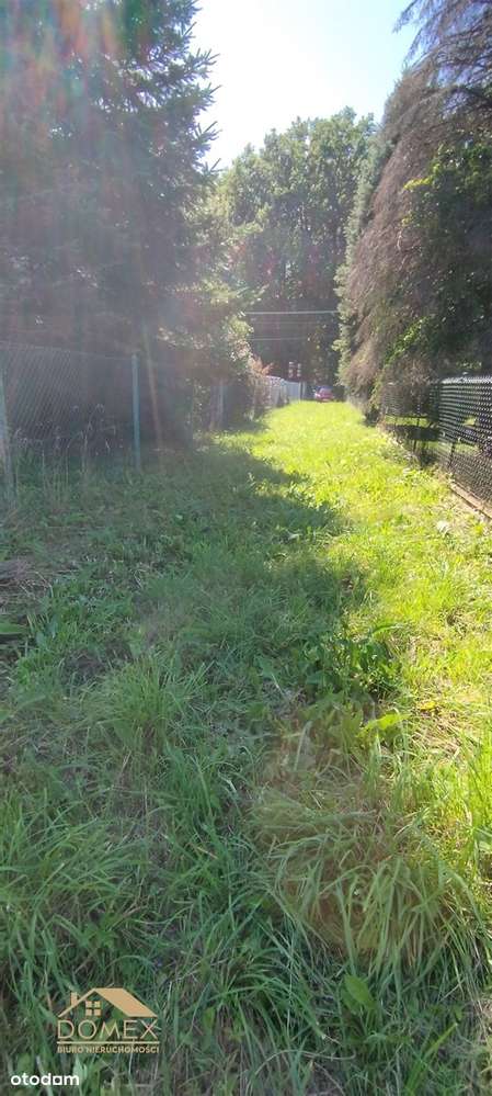 Grodziec gmina Jasienica działka budowlana - Pełny obrazek: 5/5