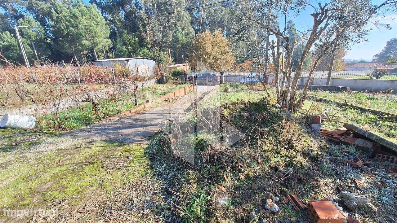 Moradia Devoluta T1 Venda em Molelos,Tondela-7