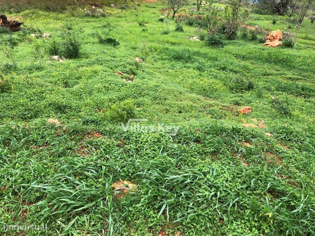 Terreno rústico com poço e bons acessos em Conceição e Estói Algarve. - Grande imagem: 4/9