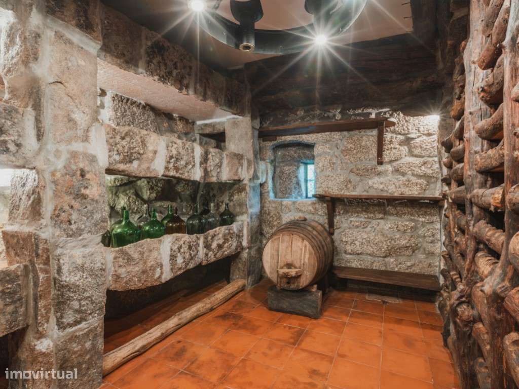 Castelo em Vieira do Minho, Portugal-18