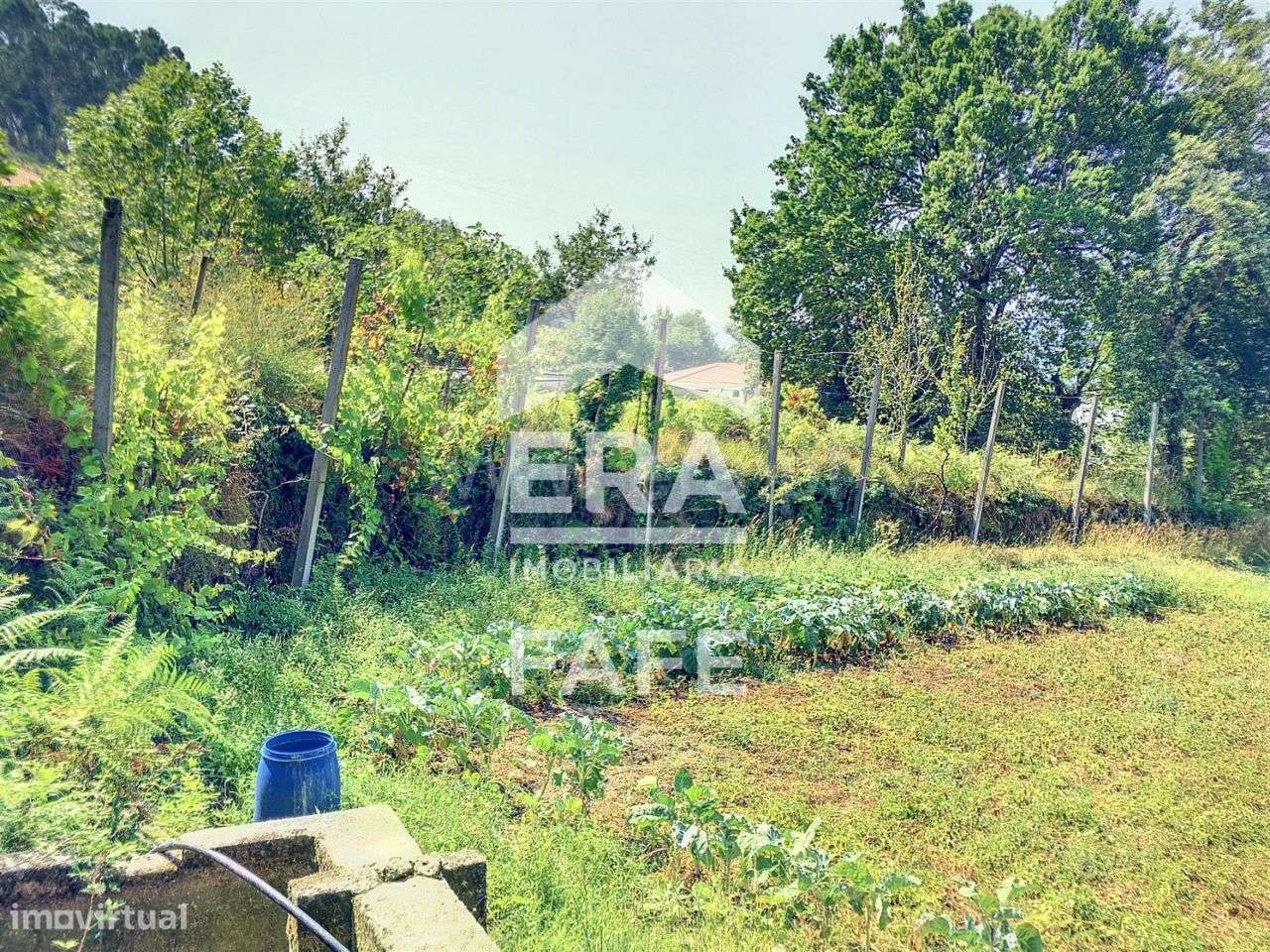 Terreno para construção com 1.200 m2 em Cabeceiras de Basto - Grande imagem: 4/10