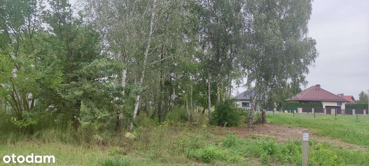 Działka Budowlana Rawa Mazowiecka - Pełny obrazek: 5/6