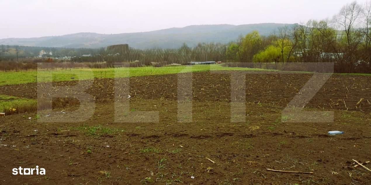 Casa individuala in zona linistita , Radaia (Baciu) - Imagine principală: 2/5