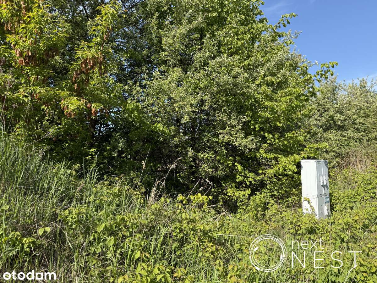Piękna działka w gminie Konstancin-Jeziorna-5