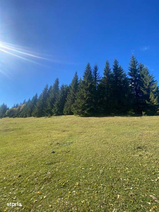 Teren extravilan la Poiana Horea - Belis - 16.000 mp-3