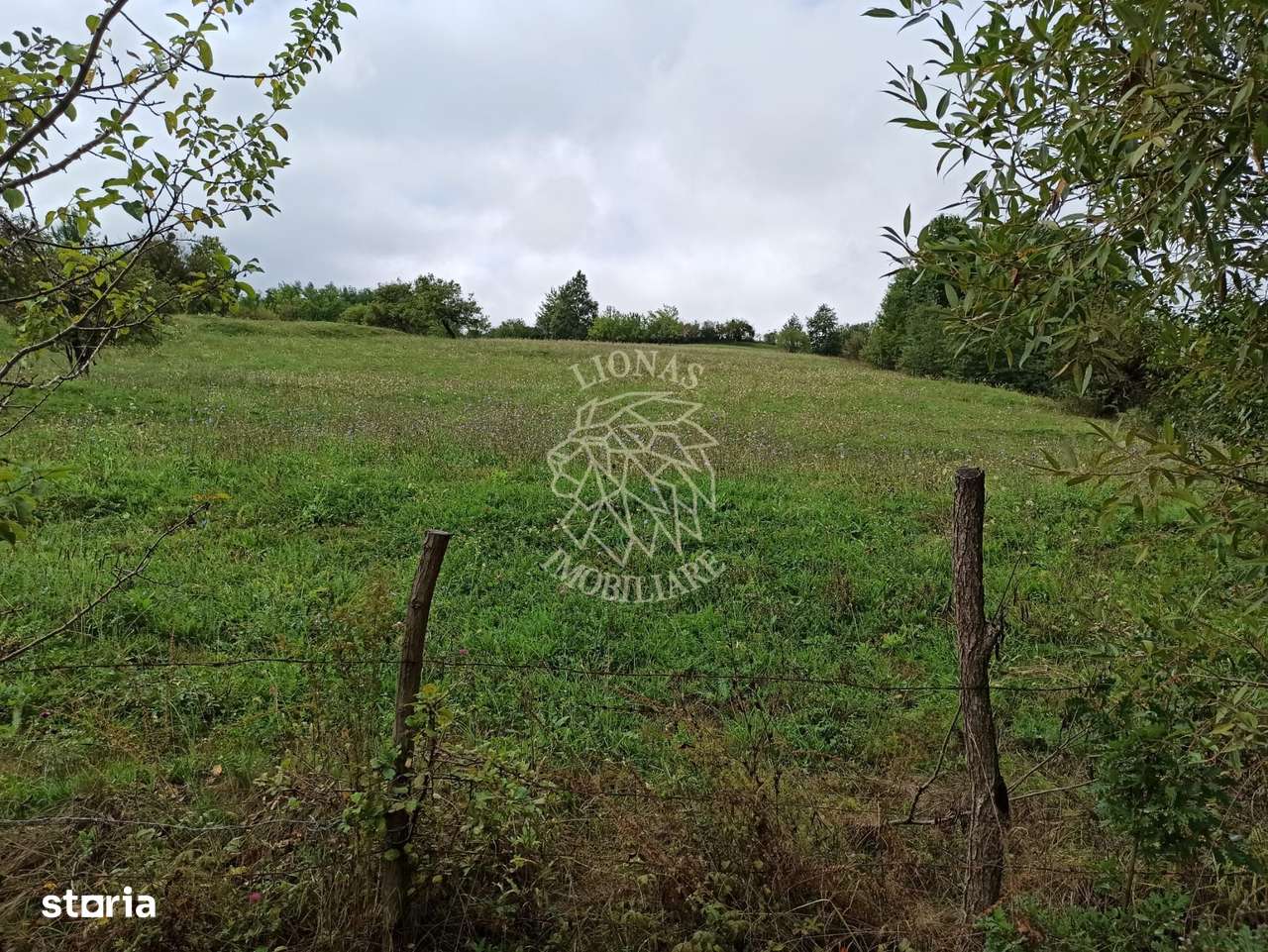 Teren intravilan 12600 mp-utilitati-ideal case, investitie-Livezile - Imagine principală: 3/6