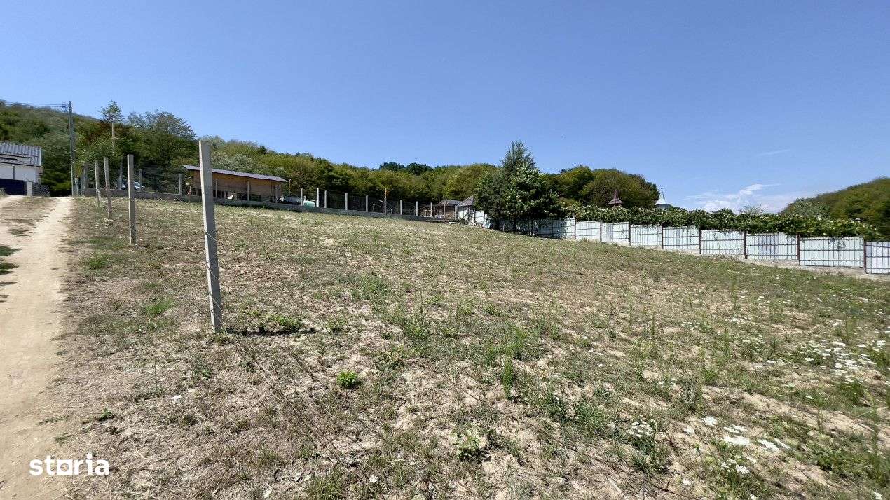 Teren Intravilan de Vis in Bascov, la Marginea Padurii! - Imagine principală: 2/5