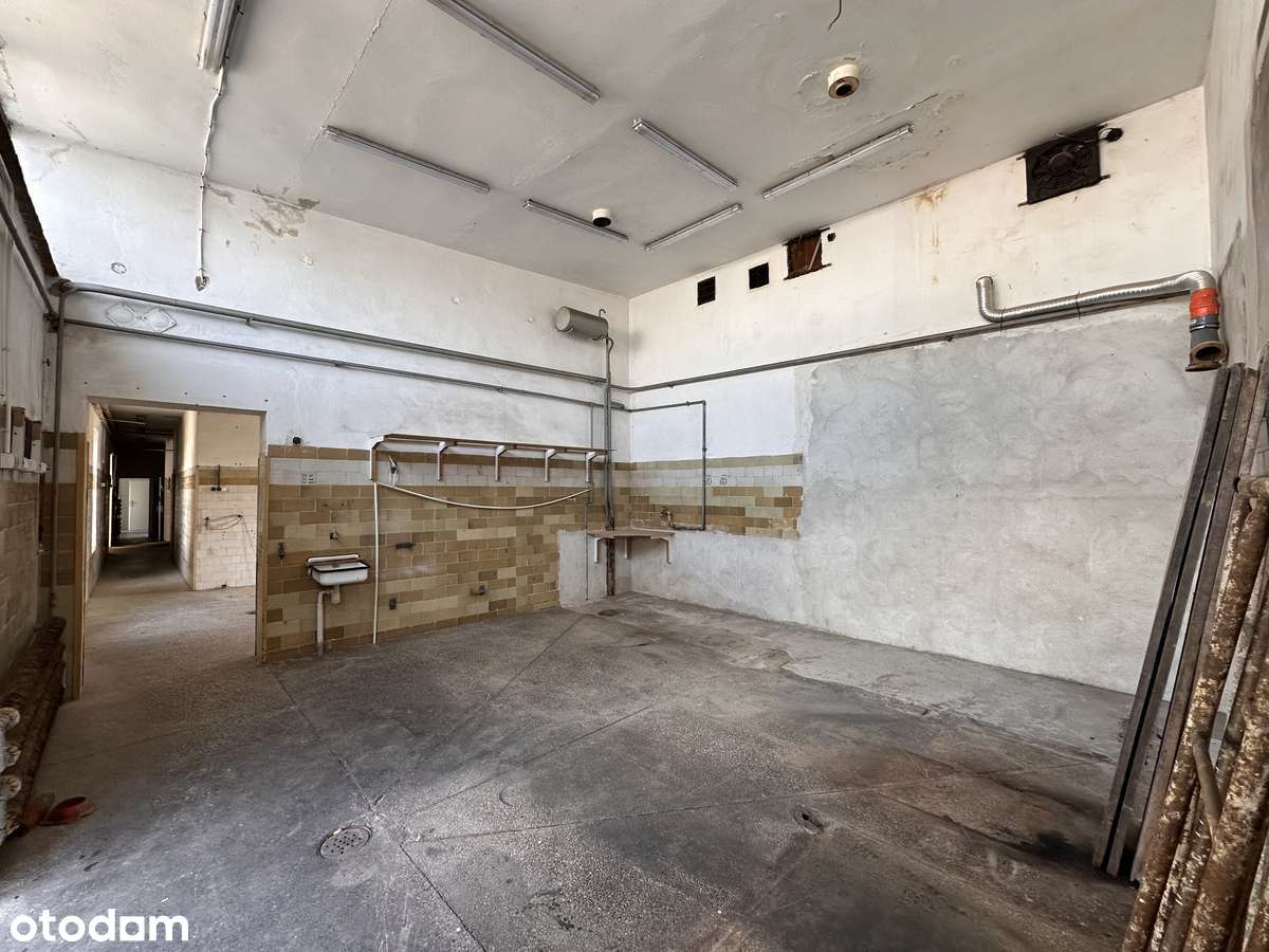 Hale produkcyjne 400 m2 + Dom jednorodzinny 105m2 - Pełny obrazek: 5/20