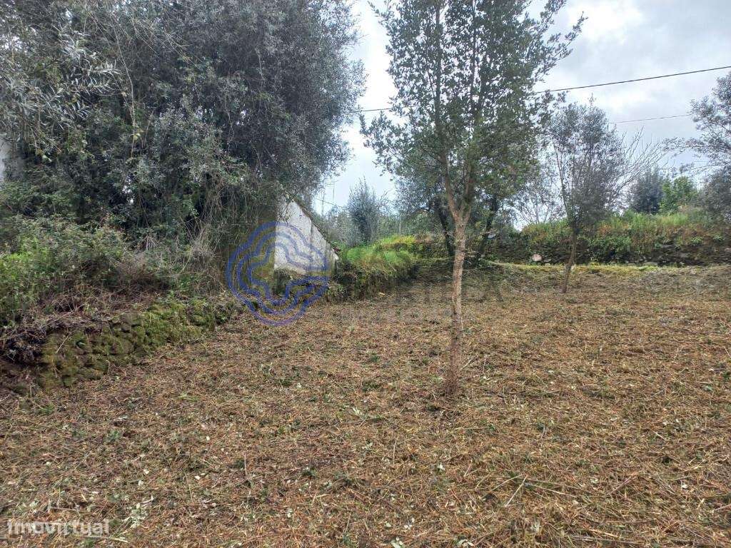 Terreno com possibilidade de construção com 600 m2 a 15 minutos de Tom - Grande imagem: 5/21