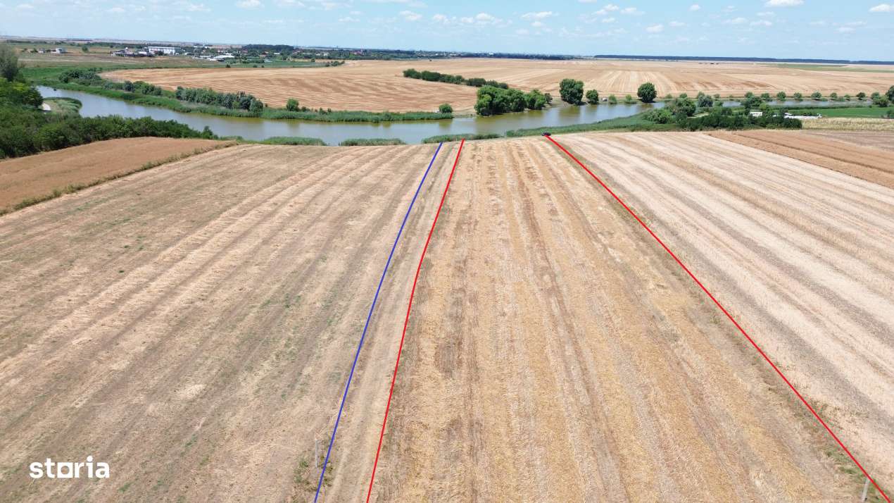 teren la lac Frumusani - Imagine principală: 4/19