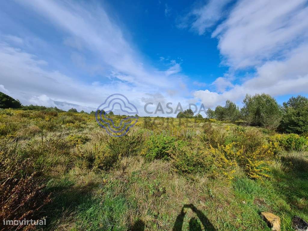 Terreno - 11.560m2 - Perto do Autódromo Estoril - Cascais - Grande imagem: 5/14